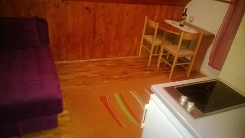 Guest House Milena Vučinić - image 7