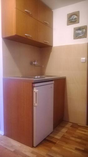 Guest House Milena Vučinić - image 4