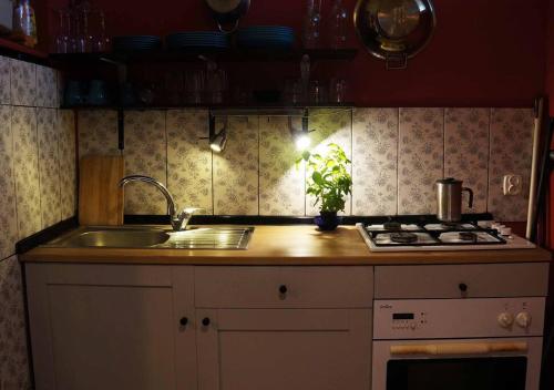 Vintage BDSM Kinky Apartment - ENTIRE 65m2 space for up to 6-guests - FULLY EQUIPPED, Wrocław (photo 6)