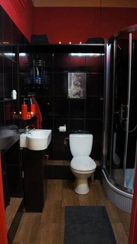 Vintage BDSM Kinky Apartment - ENTIRE 65m2 space for up to 6-guests - FULLY EQUIPPED, Wrocław (photo 5)