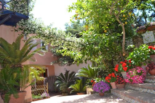 Piccolo Tirreno Hotel Residence - image 4