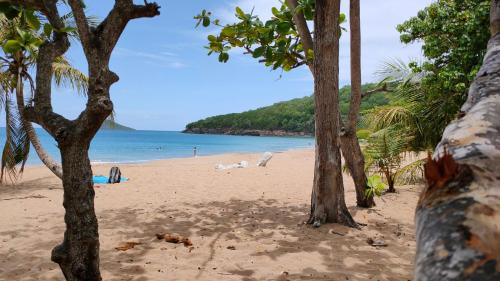 rand, Au Vieux Manguier in Deshaies