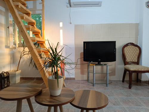 Maxim's house in Ponari