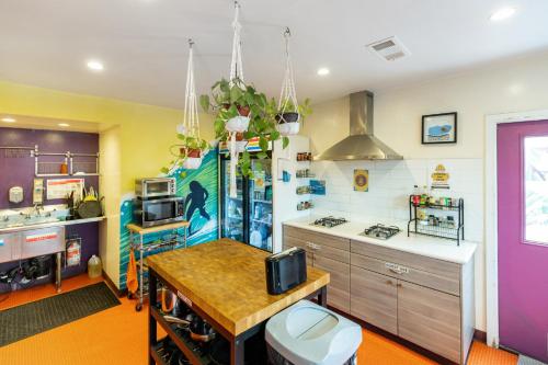 Samesun Ocean Beach Hotel & Hostel in San Diego, USA