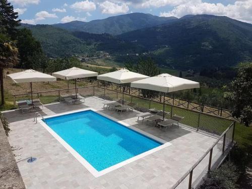 Deluxe Apartment Aia in Pelago with Swimming Pool