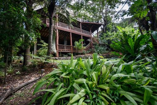 Coolum Beach Treetops - 4 Guests ZF8