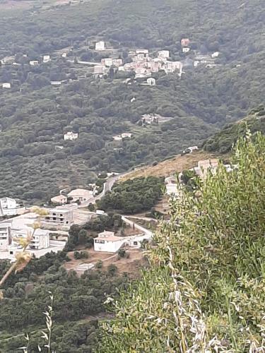 Ribellu, Bastia (fotografie 5)