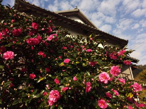 古民家宿郷の家, Suo Oshima (fotografie 10)