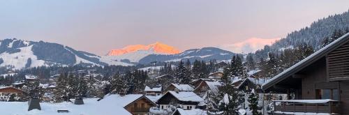 Appartement standing face mont blanc piscine - Location saisonnière - Megève