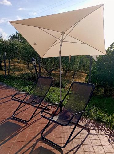  Il Giardino delle Erbe in Badia