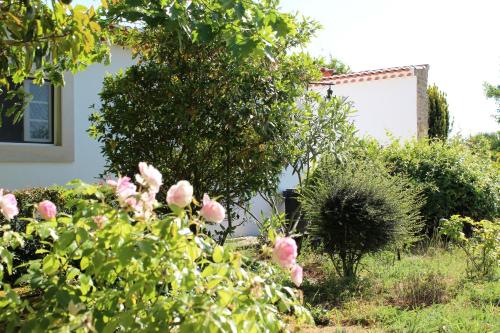 Casa de Campo Sao Rafael - Turismo Rural - image 2