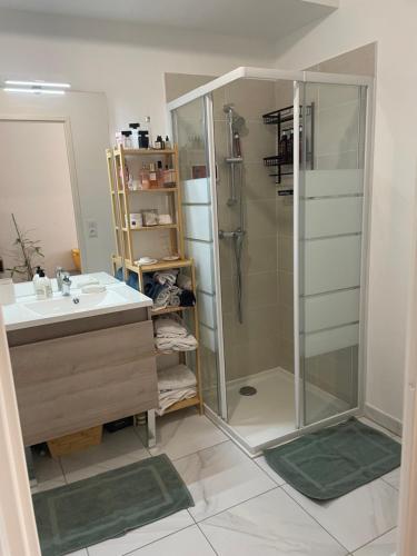 حمام, Appartement de charme Poissy in Poissy