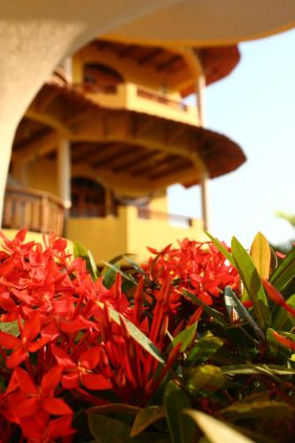 Hotel Cielo Azul photo 4