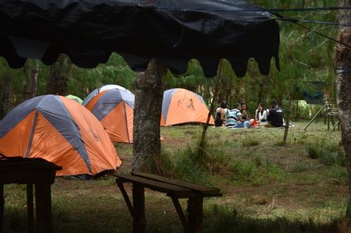 Encamp Ziro Valley Camp