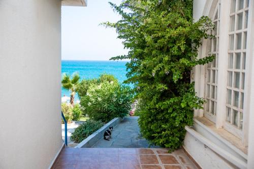 전망, Pissouri bay sea view studio in 피주리