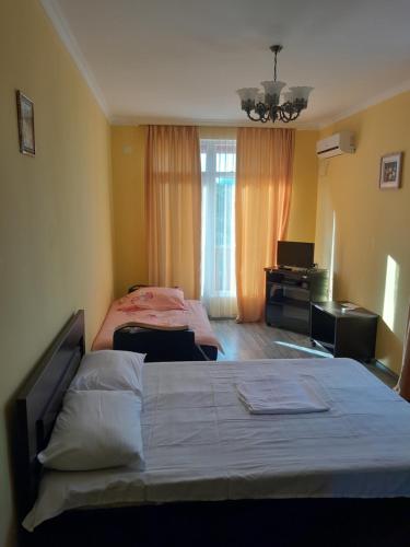 1 double bed, 1 sofa bed