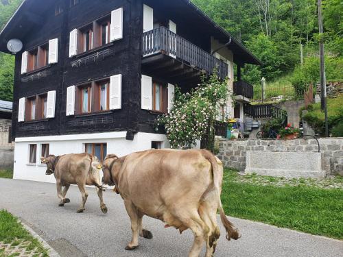  Margherita Apartment - wooden apartment in the village of Osco in Faido