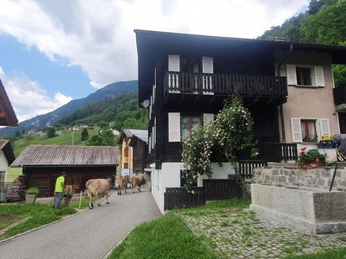 Margherita Apartment - wooden apartment in the village of Osco, Unterkunft in Faido