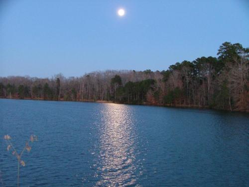 Budget Inn Jonesboro - image 10