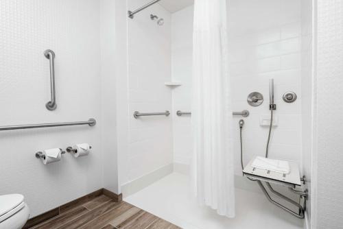 Hampton Inn & Suites Bridgeview Chicago Il - image 2