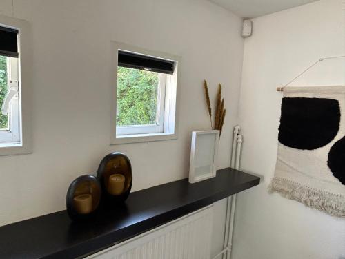  Tuinhuis met gebruik van zwembad in Aerdenhout