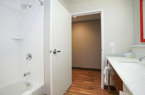 Hampton Inn by Hilton Colorado Springs I-25 Central - 화장실