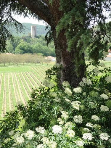 Castel Rouge 2