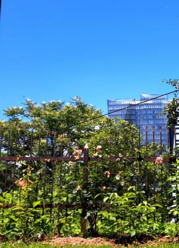 Apartments Edina City Center photo