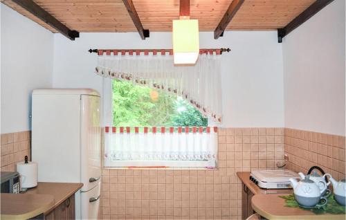 кухня, Cozy Home In Bozepole Krolewskie With Wifi in Skarszewy
