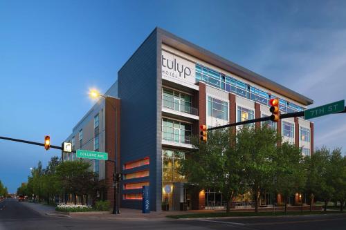 Tulyp, Tapestry Collection by Hilton in Holland, USA