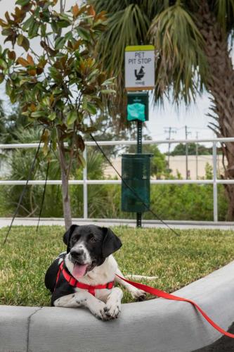 Home2 Suites By Hilton Tampa Westshore Airport, Fl in Tampa, USA