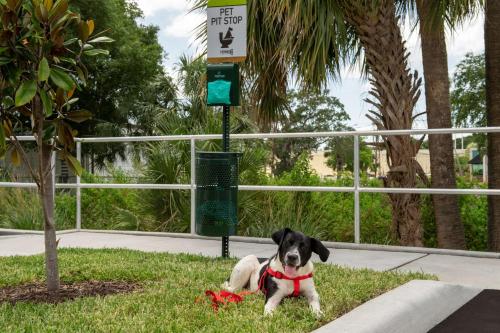 Home2 Suites By Hilton Tampa Westshore Airport, Fl in Tampa, USA