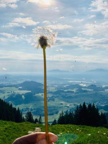 Ferienhaus Sommer - image 3