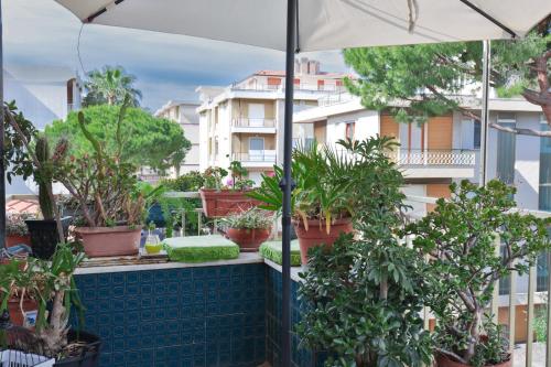  TheKeyStudio, Riviera dei friori in Bordighera