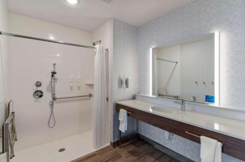 Hampton Inn by Hilton Colorado Springs Northeast - 화장실
