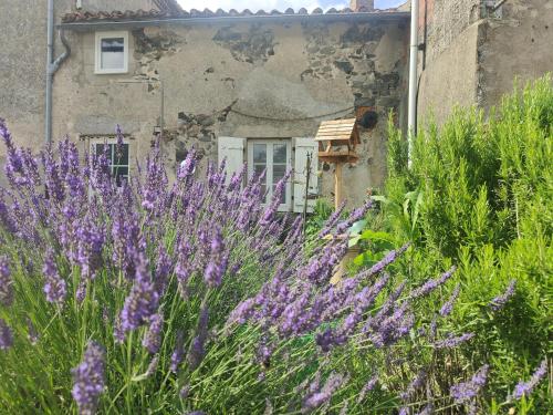 Wisteria House