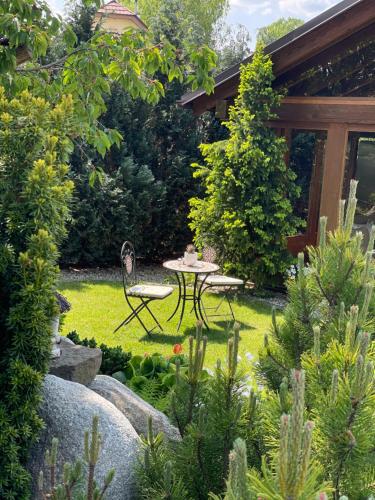 Pension Vila Mery - image 9
