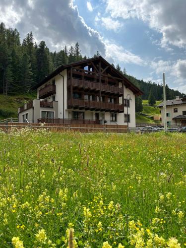 Chalet La Pineta - Apartment - Santa Caterina