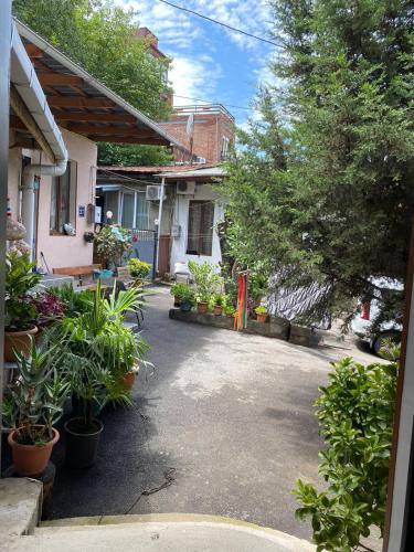 Gsth Mila – Tbilisi, MA