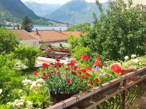 Apartments Samardzic Kotor Montenegro