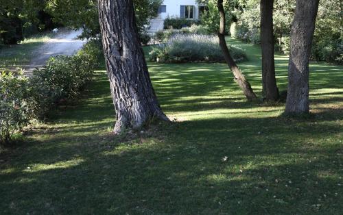 Maison calme et verdure