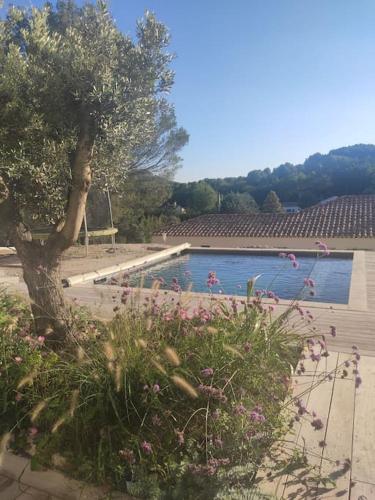 Villa spacieuse avec piscine en Provence