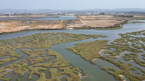  Herdade dos Salgados do Fialho, Faro bei Corotelo