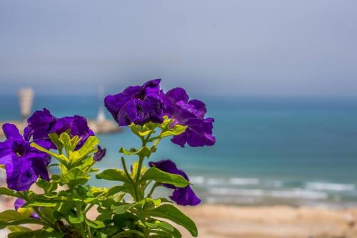 50 meters from the Sea, Ashkelon