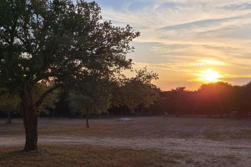 Shady Oaks Cottage: A Peaceful & Relaxing Getaway