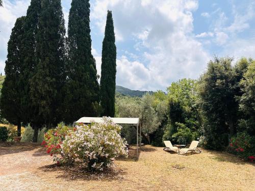 Podere Il Castellaccio Sant'Agata