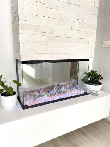 Die Eleganz - Exclusive Apartment near the City Center with Free Private Parking, Bratislava (foto 4)