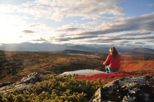 Bualie - Golsfjellet - Biking, swimmming, hiking. High standard.