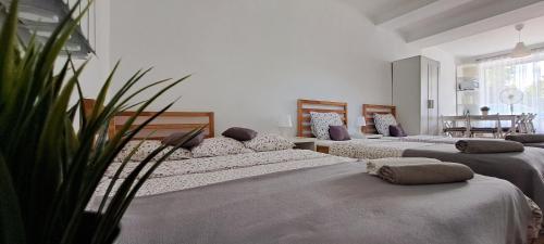 1 double bed, 2 twin beds