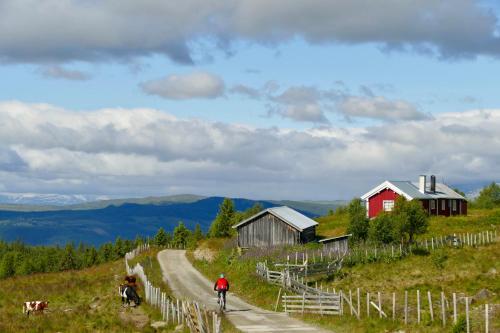 Bualie - Golsfjellet - Biking, swimmming, hiking. High standard.